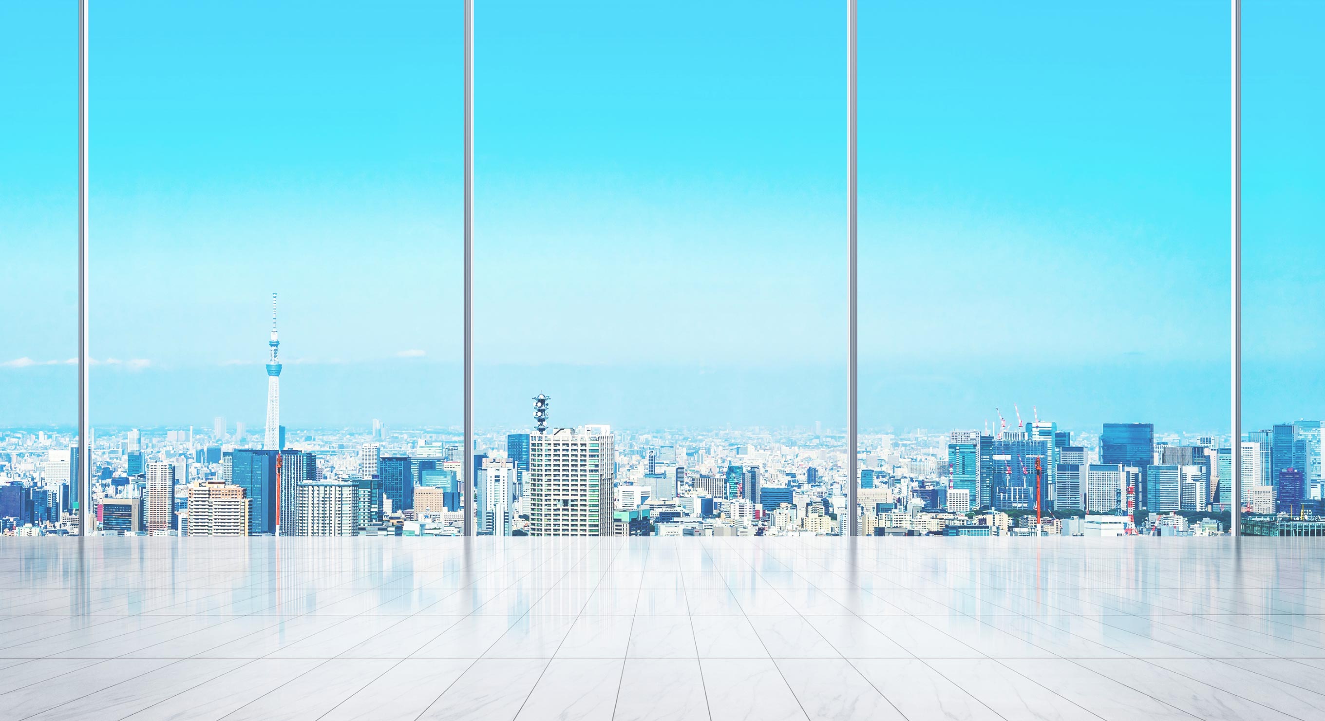 企業情報